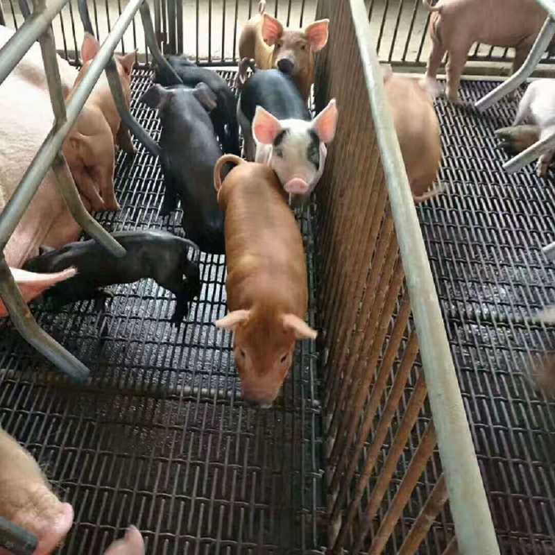 ©Sذ䓽zW(wng)-m.96cpvip8168.cn