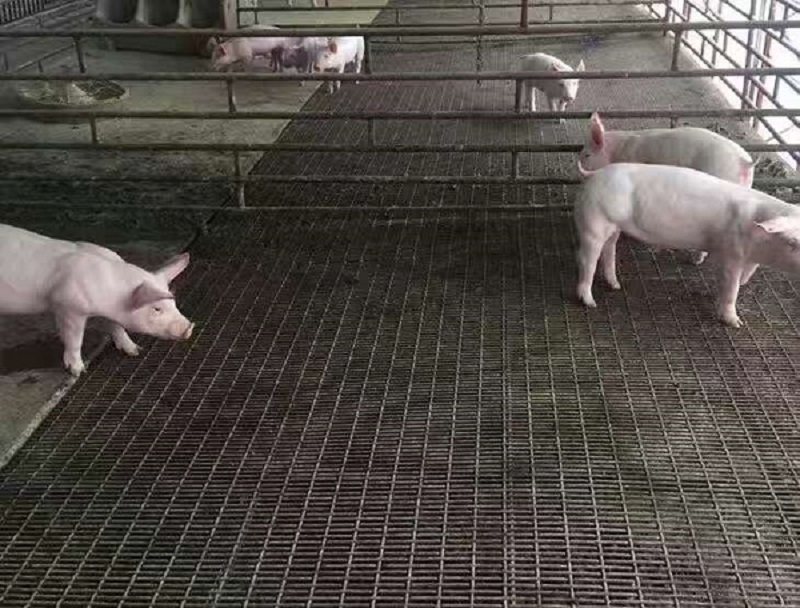 ذ䓽zW(wng)-m.96cpvip8168.cn