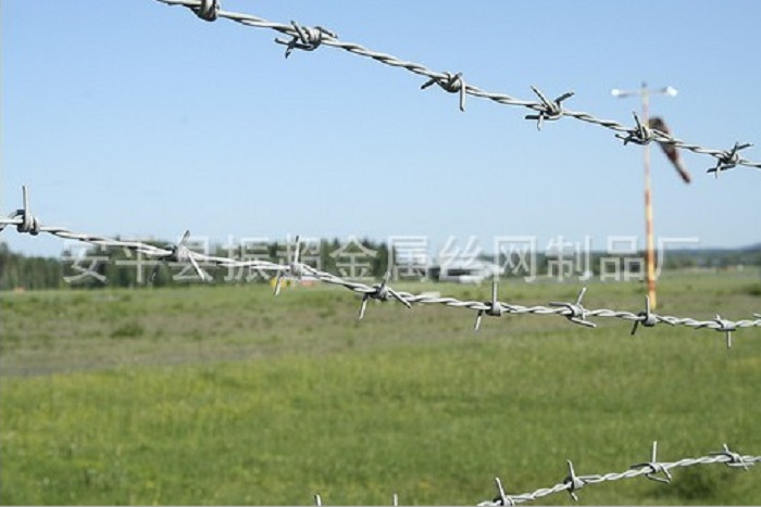 \д䓽zm.96cpvip8168.cn