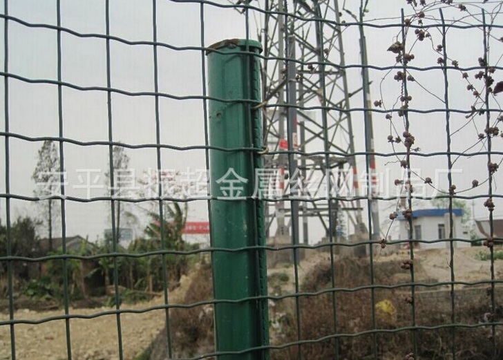 䓽zW(wng)m.96cpvip8168.cn