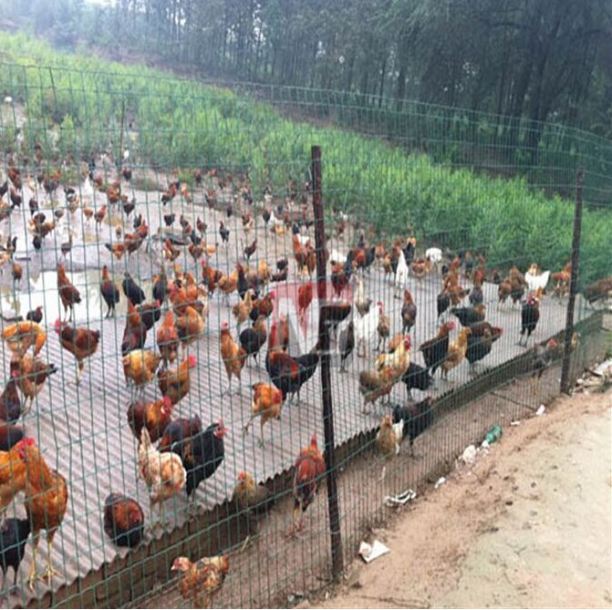 Ȧu䓽zW(wng)m.96cpvip8168.cn