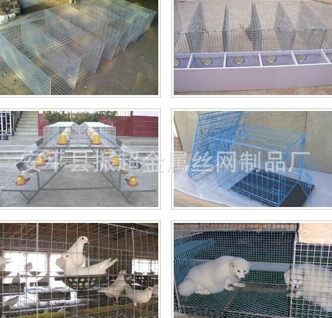 B(yng)ֳ늺W(wng)m.96cpvip8168.cn