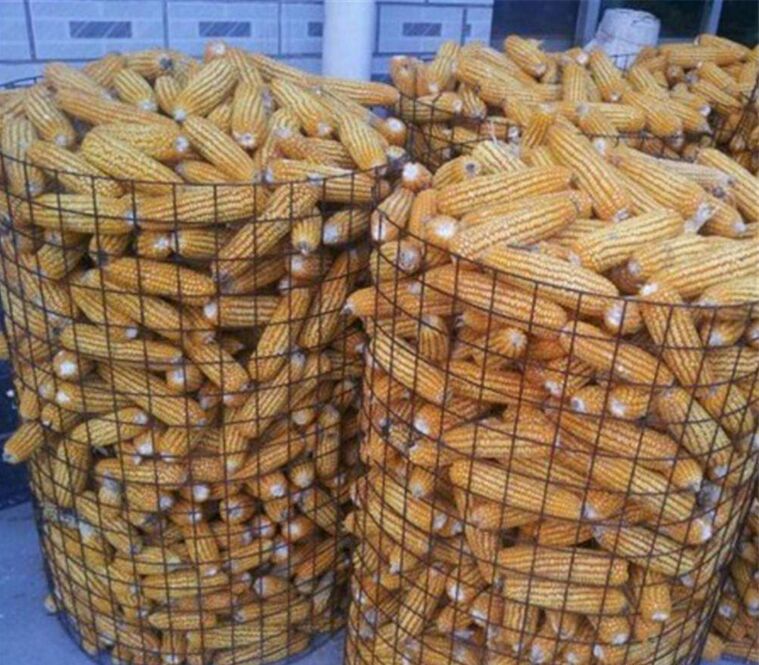 Ȧ늺W(wng)m.96cpvip8168.cn