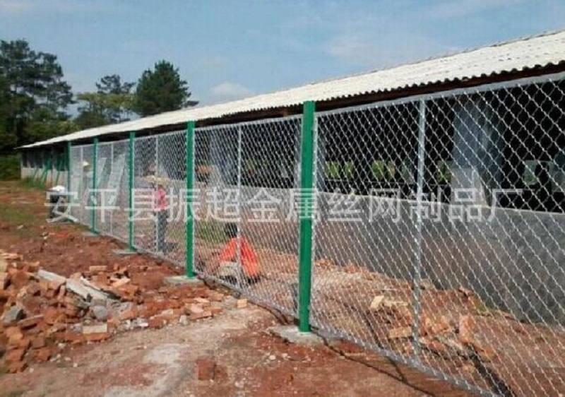 W(wng)ڣm.96cpvip8168.cn