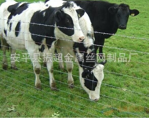 ԭo(h)W(wng)m.96cpvip8168.cn