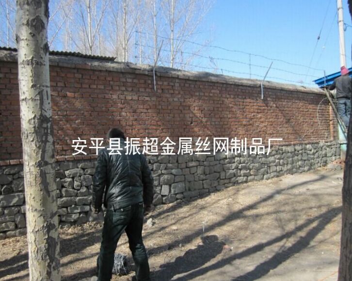 ԺoW(wng)m.96cpvip8168.cn