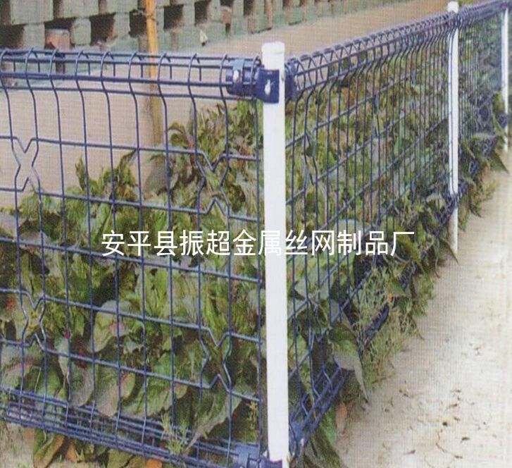 pȦoW(wng)m.96cpvip8168.cn