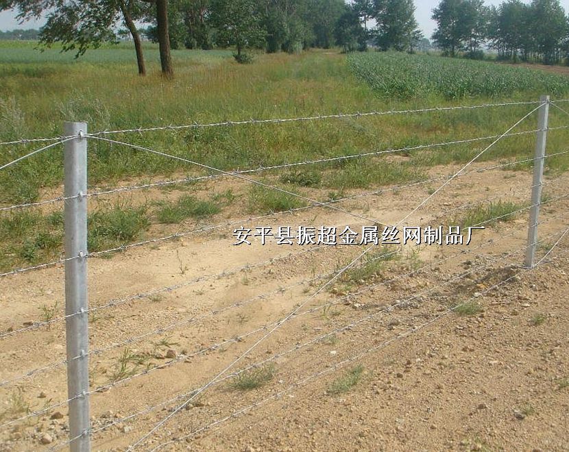 ̵䓽zW(wng),д̵䓽zW(wng),̽zhttp://m.96cpvip8168.cn