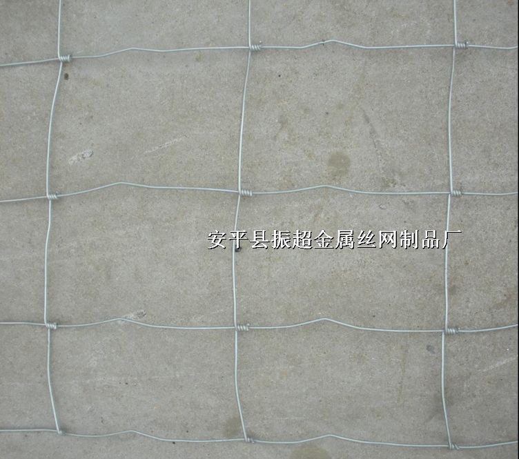 ԭ䓽zW(wng),Ȧţ䓽zW(wng)http://m.96cpvip8168.cn