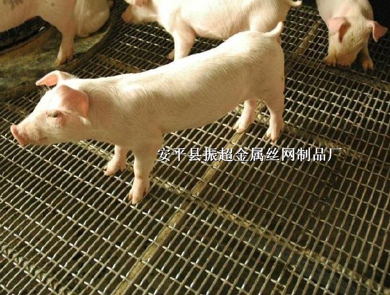 ܈䓽zW(wng),܈W(wng),䓽ziW(wng)http://m.96cpvip8168.cn