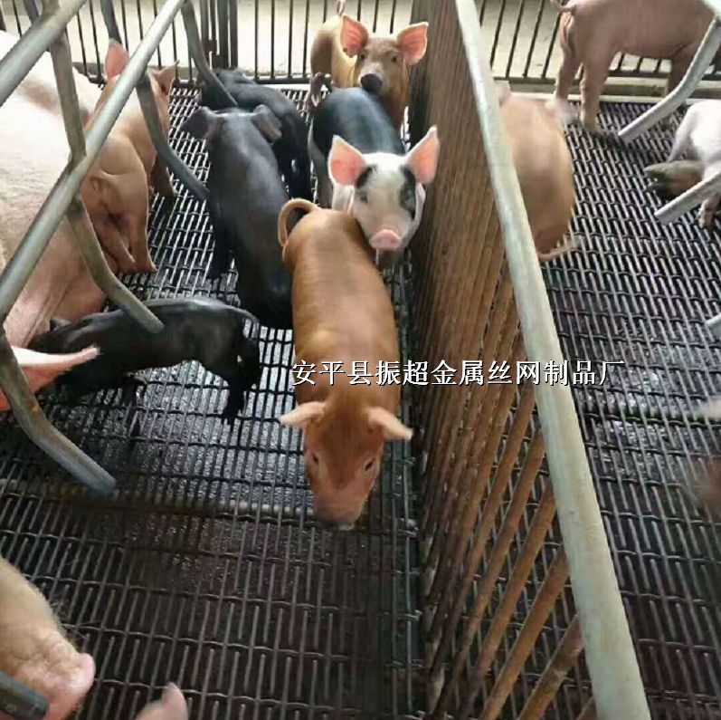 ¶SذW(wng)B(yng)i܈W(wng)Fza(chn)W(wng)http://m.96cpvip8168.cn