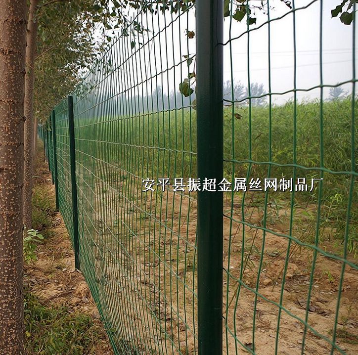 ���m�W(w��ng)������䓽z�W(w��ng)����http://m.96cpvip8168.cn