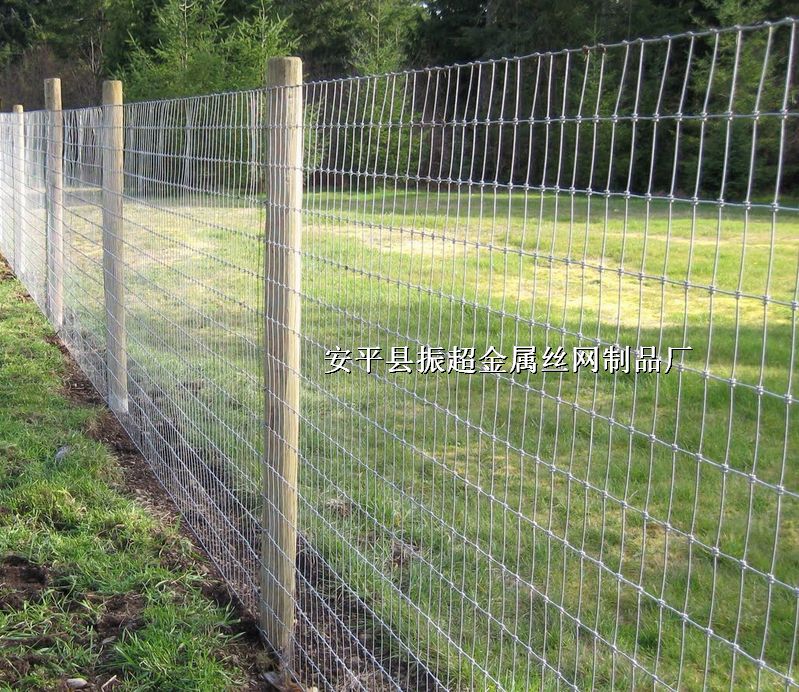 Ȧţ䓽z�W(w��ng)��Ȧţ�����W(w��ng)��Ȧţ�W(w��ng)http://m.96cpvip8168.cn