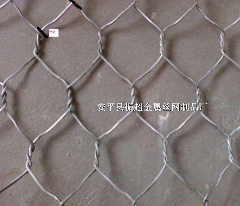 �B(y��ng)�����ھW(w��ng)��Ȧ�o���x�W(w��ng)���B(y��ng)ֳ��F�z�W(w��ng)http://m.96cpvip8168.cn