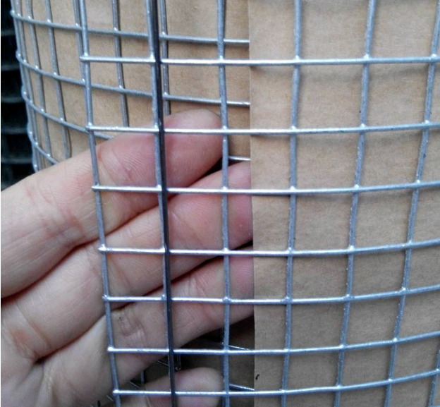 늺䓽zW(wng)-m.96cpvip8168.cn