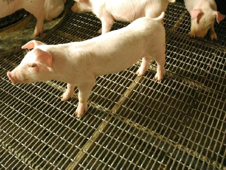 䓽zW(wng)i-m.96cpvip8168.cn